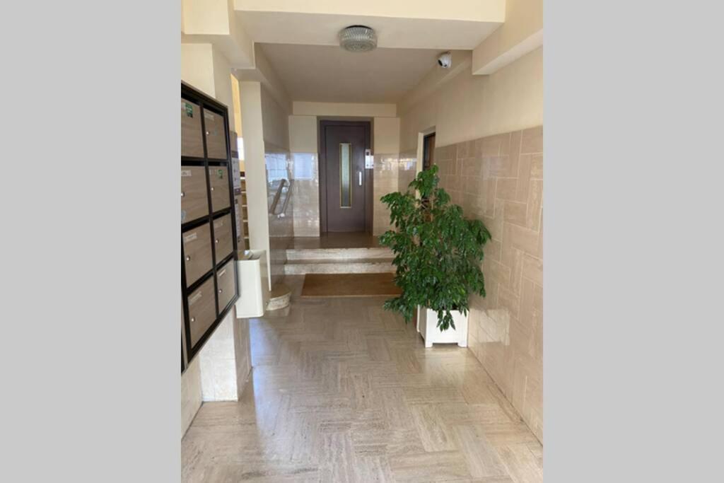 Ajaccio Charmant T2 neuf 40m2 avec balcon au Trottel wifi Clim parking plage à pieds 100m Extérieur photo