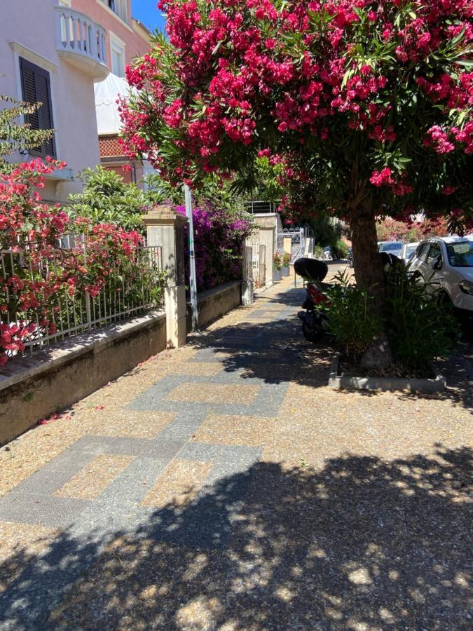 Ajaccio Charmant T2 neuf 40m2 avec balcon au Trottel wifi Clim parking plage à pieds 100m Extérieur photo