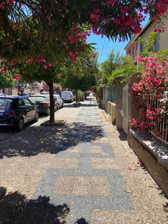 Ajaccio Charmant T2 neuf 40m2 avec balcon au Trottel wifi Clim parking plage à pieds 100m Extérieur photo